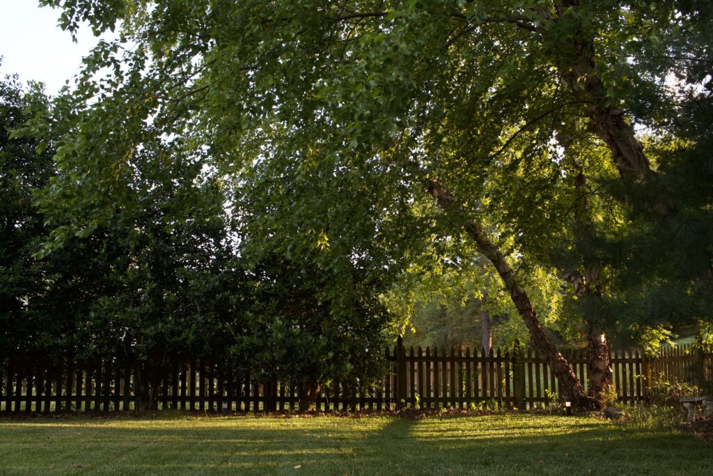 Pickleball backyard